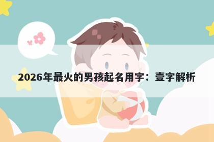 2026年最火的男孩起名用字：壹字解析