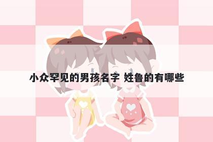 小众罕见的男孩名字 姓鲁的有哪些