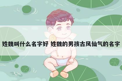 姓魏叫什么名字好 姓魏的男孩古风仙气的名字