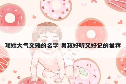 项姓大气文雅的名字 男孩好听又好记的推荐