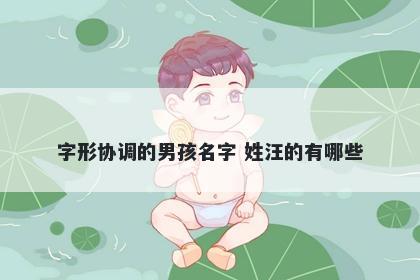 字形协调的男孩名字 姓汪的有哪些