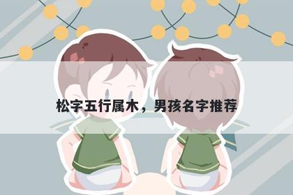 松字五行属木，男孩名字推荐