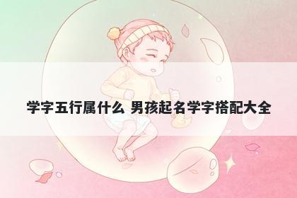 学字五行属什么 男孩起名学字搭配大全