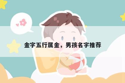 金字五行属金，男孩名字推荐