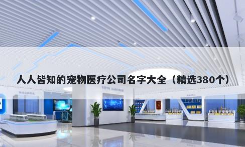 人人皆知的宠物医疗公司名字大全（精选380个）