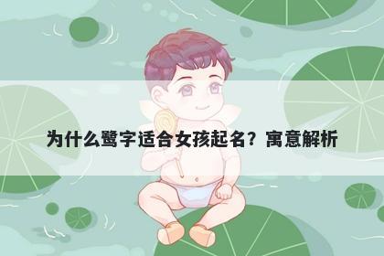 为什么鹭字适合女孩起名？寓意解析