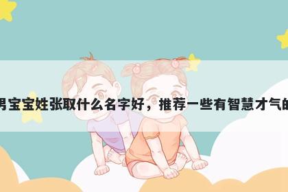 刚出生的男宝宝姓张取什么名字好，推荐一些有智慧才气的男孩名字