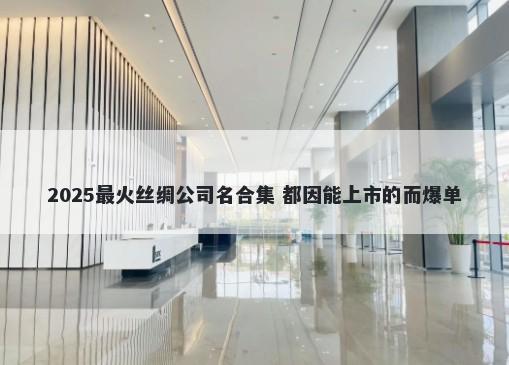 2025最火丝绸公司名合集 都因能上市的而爆单