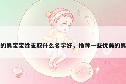 刚出生的男宝宝姓支取什么名字好，推荐一些优美的男孩名字
