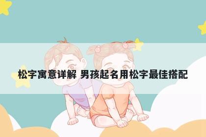 松字寓意详解 男孩起名用松字最佳搭配