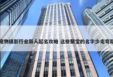 宠物摄影行业新人起名攻略 这些聚宝的名字少走弯路