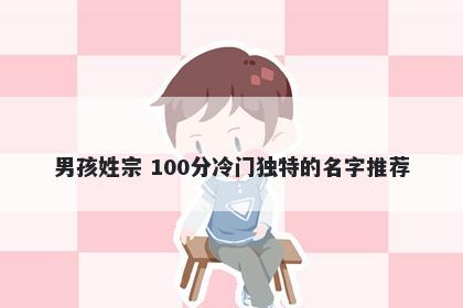男孩姓宗 100分冷门独特的名字推荐
