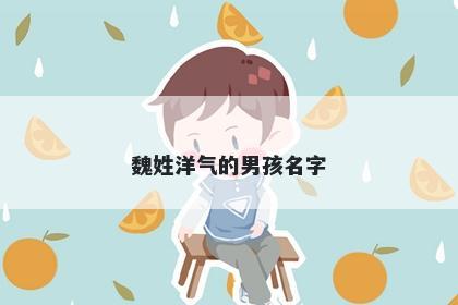魏姓洋气的男孩名字