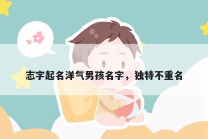 志字起名洋气男孩名字，独特不重名