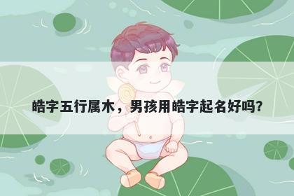 皓字五行属木，男孩用皓字起名好吗？