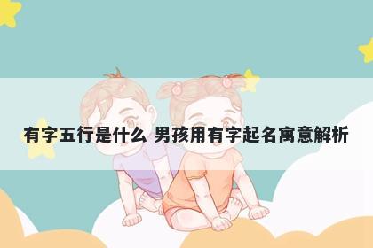 有字五行是什么 男孩用有字起名寓意解析