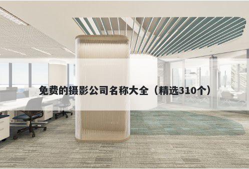 免费的摄影公司名称大全（精选310个）