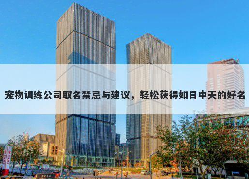 宠物训练公司取名禁忌与建议，轻松获得如日中天的好名