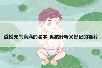 盛姓元气满满的名字 男孩好听又好记的推荐