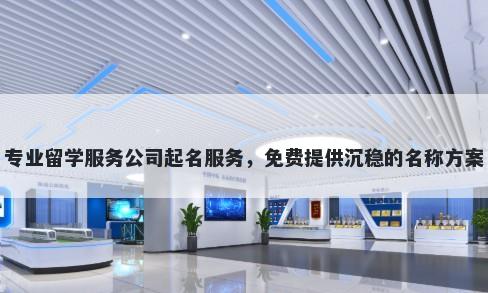 专业留学服务公司起名服务，免费提供沉稳的名称方案