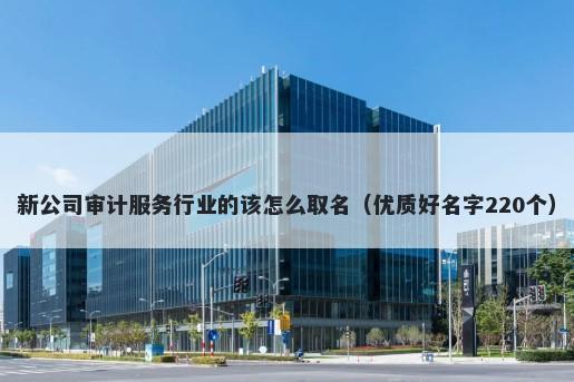新公司审计服务行业的该怎么取名（优质好名字220个）