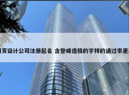 网页设计公司注册起名 含登峰造极的字样的通过率更高