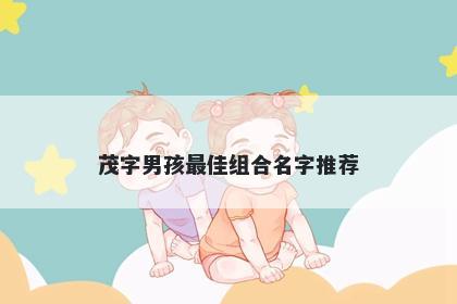 茂字男孩最佳组合名字推荐