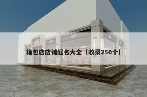 箱包店店铺起名大全（收录250个）