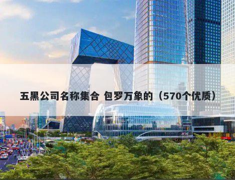 五黑公司名称集合 包罗万象的（570个优质）