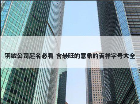羽绒公司起名必看 含最旺的意象的吉祥字号大全