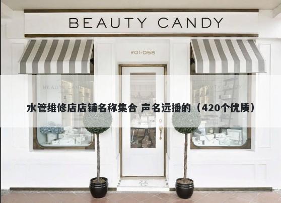 水管维修店店铺名称集合 声名远播的（420个优质）