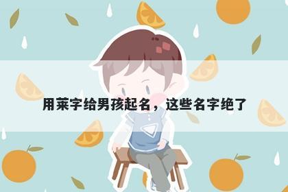用莱字给男孩起名，这些名字绝了