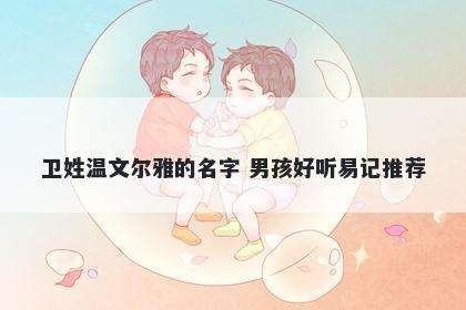 卫姓温文尔雅的名字 男孩好听易记推荐