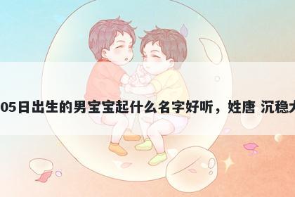 2026年-05月-05日出生的男宝宝起什么名字好听，姓唐 沉稳大气的名字推荐