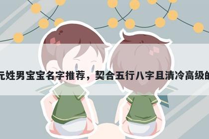 元姓男宝宝名字推荐，契合五行八字且清冷高级的
