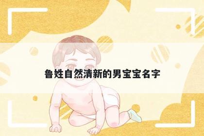 鲁姓自然清新的男宝宝名字