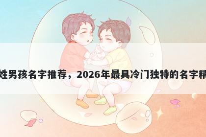 皮姓男孩名字推荐，2026年最具冷门独特的名字精选