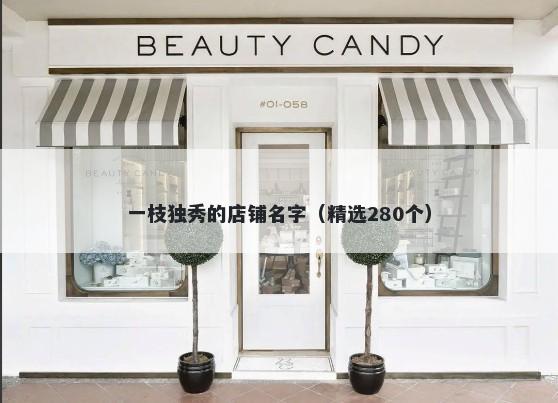 一枝独秀的店铺名字（精选280个）