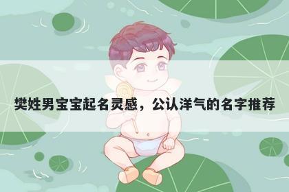 樊姓男宝宝起名灵感，公认洋气的名字推荐