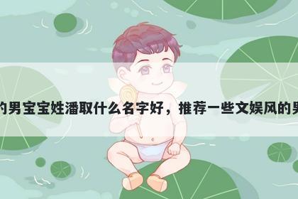 刚出生的男宝宝姓潘取什么名字好，推荐一些文娱风的男孩名字