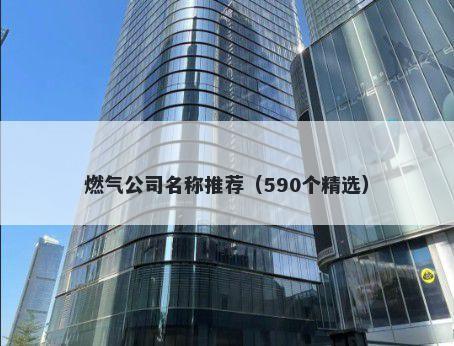 燃气公司名称推荐（590个精选）
