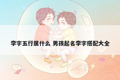 李字五行属什么 男孩起名李字搭配大全