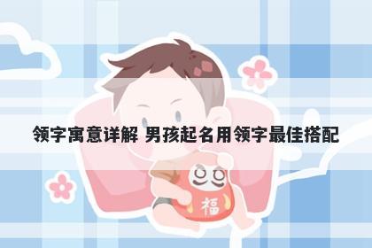 领字寓意详解 男孩起名用领字最佳搭配