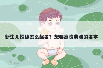 新生儿姓徐怎么起名？想要高贵典雅的名字