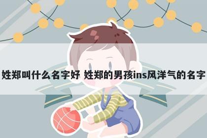 姓郑叫什么名字好 姓郑的男孩ins风洋气的名字