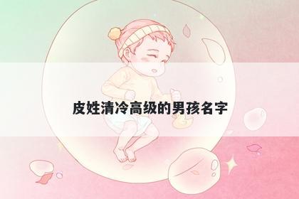 皮姓清冷高级的男孩名字