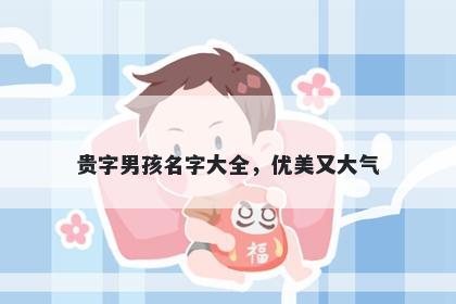 贵字男孩名字大全，优美又大气