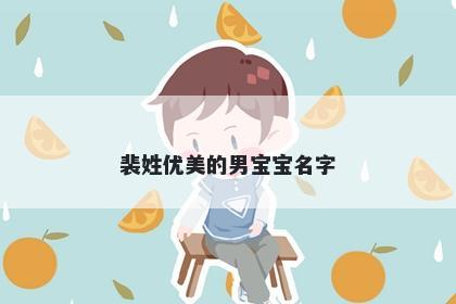 裴姓优美的男宝宝名字