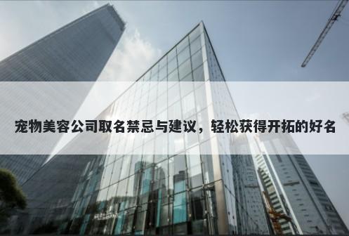 宠物美容公司取名禁忌与建议，轻松获得开拓的好名