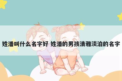 姓潘叫什么名字好 姓潘的男孩清雅淡泊的名字